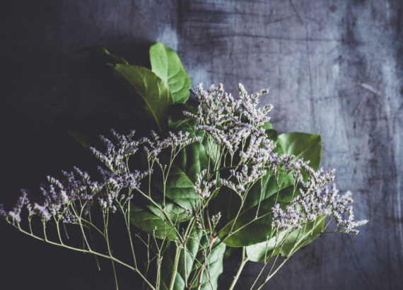 mauve flowers bouquet on dark background