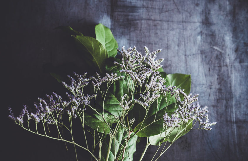 mauve flowers bouquet on dark background
