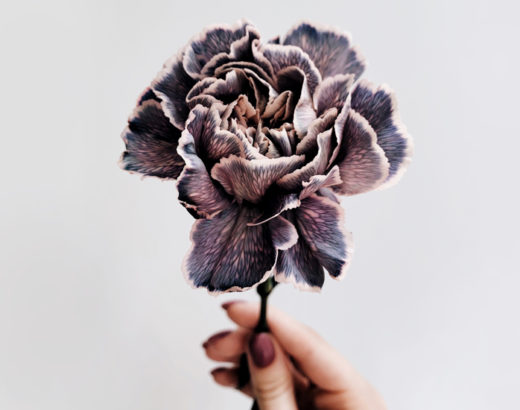 hand holding a flower