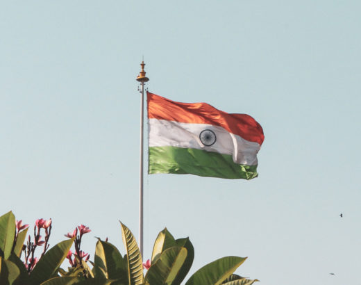 India flag against blue sky and some plants