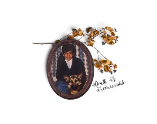 a photo in a frame and a dead branch