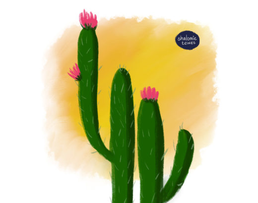 flowering cactus against an orange sky with writing