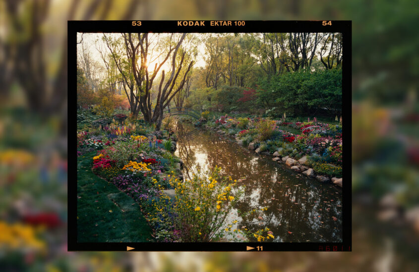 a serene stream with flower filled banks on both sides, misty horizon and trees